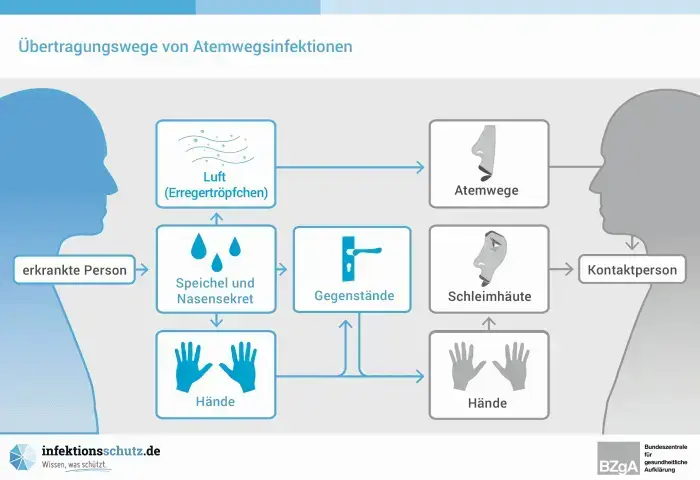 Infektionswege bei einer Mensch zu Mensch-Übertragung Infektionswege bei einer Mensch zu Mensch-Übertragung