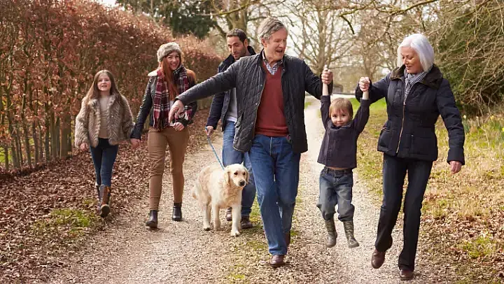 Sechs Personen machen einen Herbstspaziergang: zwei Kinder (ca. 11 und 5 Jahre), zwei Erwachsene mittleren Alters und zwei ältere Erwachsene 