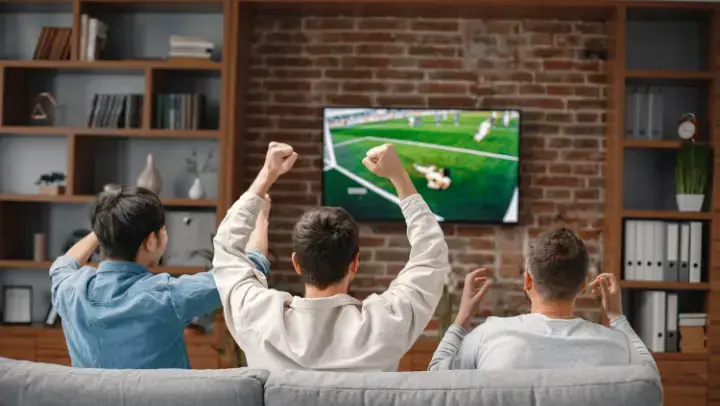 Drei Männer, die man von hinten sieht, sitzen auf einem Sofa und schauen gemeinsam ein Fußballspiel im Fernsehen. Zwei jubeln, einer lässt enttäuscht die Arme sinken.